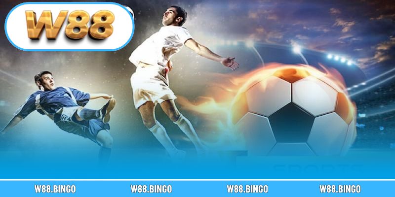 Trải nghiệm không gian cá cược thể thao chân thực nhất