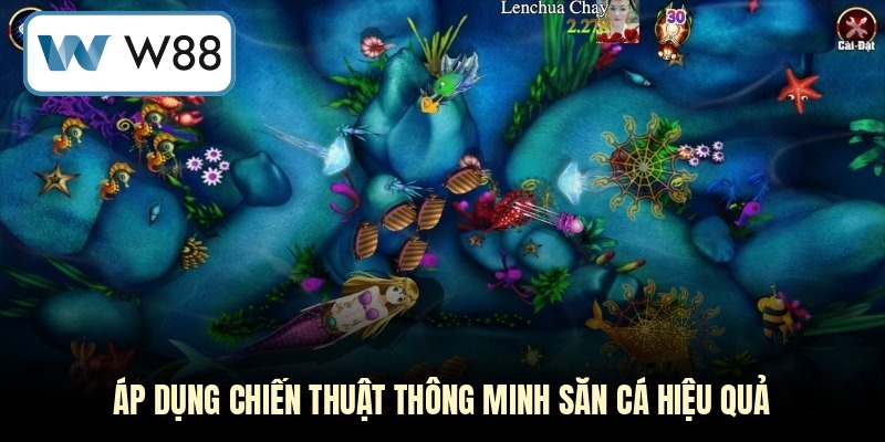 Áp dụng chiến thuật thông minh săn cá hiệu quả