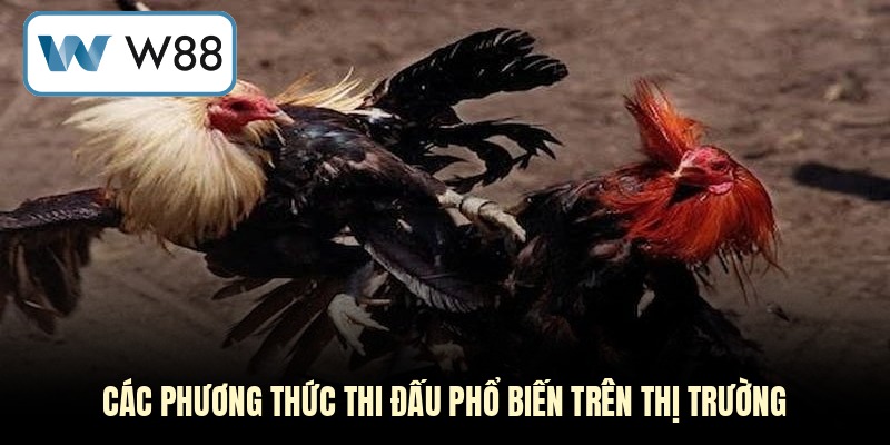 Các phương thức thi đấu phổ biến trên thị trường
